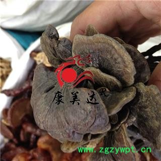 凯捷中药 灵芝 统货 产地 四川省雅安市石棉县图2