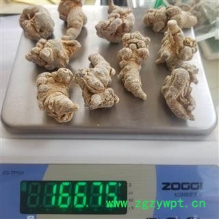 中药材 文山三七 各种规格  三七 水洗三七图2