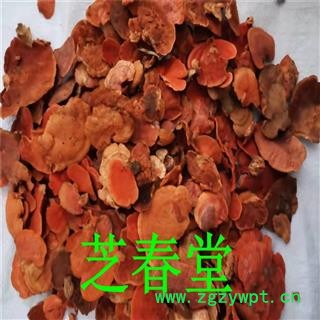 芝春堂 牛樟芝 牛樟菇 樟菇 樟芝 牛樟芝 牛樟菇 樟菇 樟芝图3
