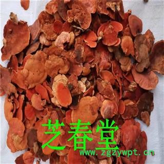 芝春堂 牛樟芝 牛樟菇 樟菇 樟芝 牛樟芝 牛樟菇 樟菇 樟芝图2