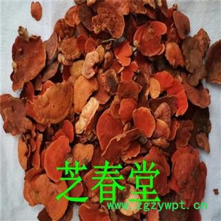芝春堂 牛樟芝 牛樟菇 樟菇 樟芝 牛樟芝 牛樟菇 樟菇 樟芝图4