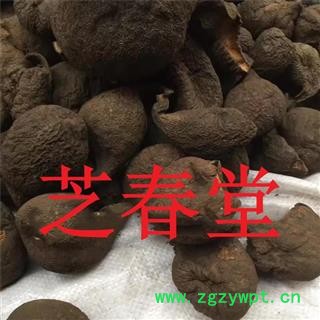 芝春堂 中药材 无硫正品 乌灵参 乌苓参 雷震子 乌丽参 鸡枞蛋 支持验货图4