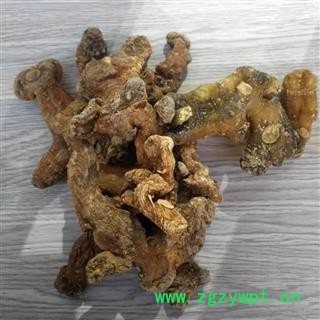 瑞森药材行黄精 黄精个子 黄精产地湖南图4