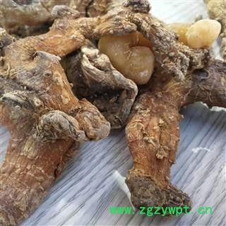 瑞森药材行黄精 黄精个子 黄精产地湖南图2