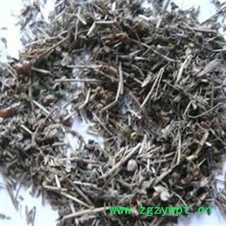 瑞森药材行中药材 双肾草 肾阳草 一根葱 秤砣草肾阳草鸡肾参 坠桃草图2