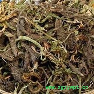 瑞森药材行 甘松 甘松香 香松 甘香松全草图2