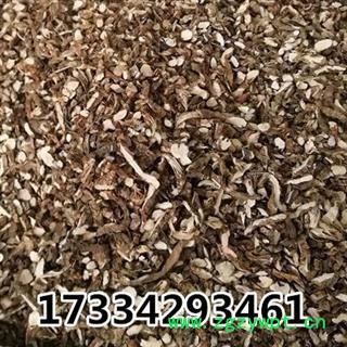 石菖蒲  水草菖蒲 山菖蒲 九节菖蒲 中草药材图2