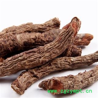 瑞森药材行岩白菜根  地下根 盘龙七 石白菜 地白菜 血三七图2