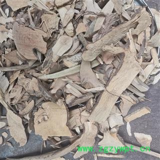 瑞森药材行茉莉根 茉莉花根 臭茉莉根 臭矢茉莉 大髻婆 过墙风 冬地梅 统 产地 广西壮族自治区桂林市图2