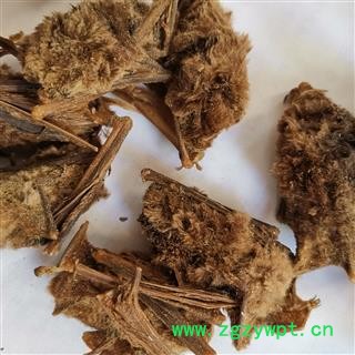 瑞森药材行蝙蝠蝙蝠 天鼠 夜明鼠整只完整大个图2