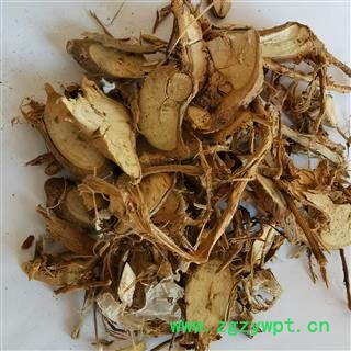 瑞森药材行产地直销棉花根 野棉花根 统货 产地 新疆维吾尔自治区图2