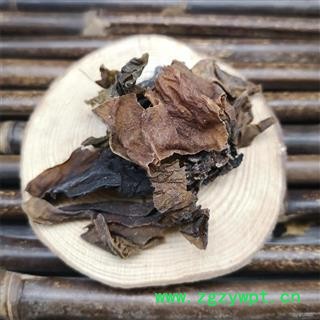 昆布江白菜纶布 海昆布昆布菜海草图3