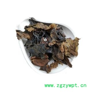 昆布江白菜纶布 海昆布昆布菜海草图4