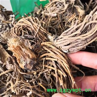 诺源药材行中药材藜芦 葱白藜芦 旱葱无硫新货图2