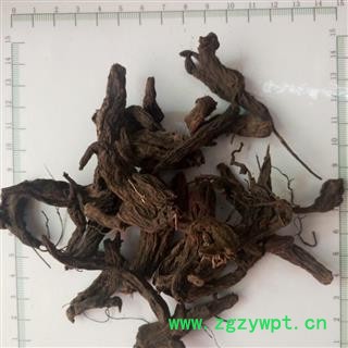 诺源药材行正品中药材 红大戟图2