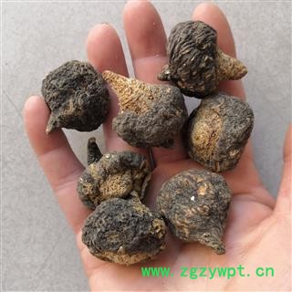 诺源药材行秘鲁玛咖 秘鲁黑玛卡  玛咖图2