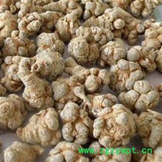 诺源药材行优质三七 春三七 30头 水洗无剪口图2