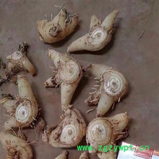 诺源药材行白芨 连级草 优质白芨图2