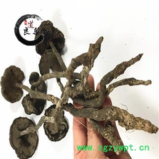 灵芝 野生假芝 野生灵芝 药典标准 地道良药馆 1000克直销 品种齐全 一站购齐图3