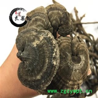 灵芝 野生假芝 野生灵芝 药典标准 地道良药馆 1000克直销 品种齐全 一站购齐图4
