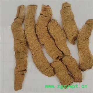 中药材巴戟天 广东产巴戟肉四级个0.4以下的 各种规格齐全 安国市中药材批发零售大全图3