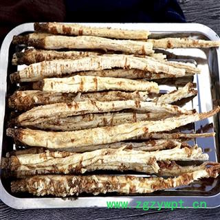煜庭药业 沙参 北沙参 海沙参、银条参、图2