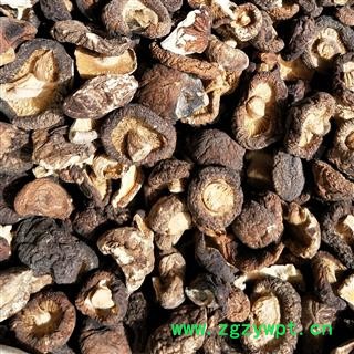 香菇 香菇 产地 福建省图2