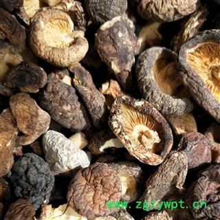 香菇 香菇 产地 福建省图3