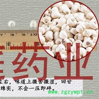煜庭药业 正品川贝 松贝母 川贝母图2