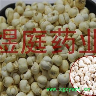 煜庭药业 正品川贝 松贝母 川贝母图3