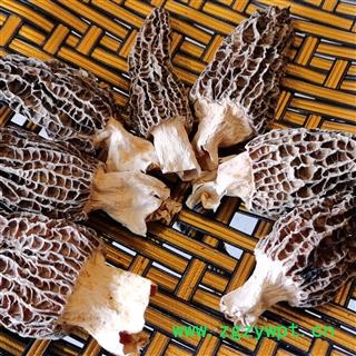 羊肚菌 选装羊肚菌 产地 西藏自治区昌都地区图2