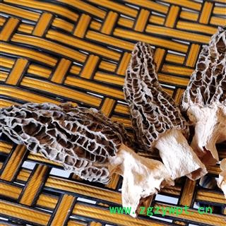 羊肚菌 选装羊肚菌 产地 西藏自治区昌都地区图3