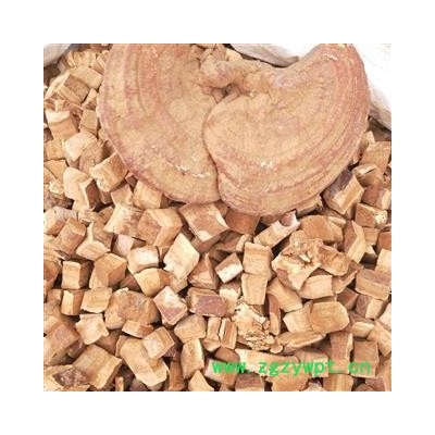 灵芝 灵芝统丁片1000克促销批发 产地 山东省东营市