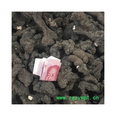 猪苓 大统个 产地 黑龙江省 茗生春药材总公司 一手货源 7天无理由退换