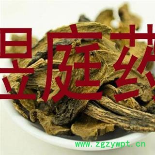 煜庭药业 土大黄 羊蹄根 正品图3