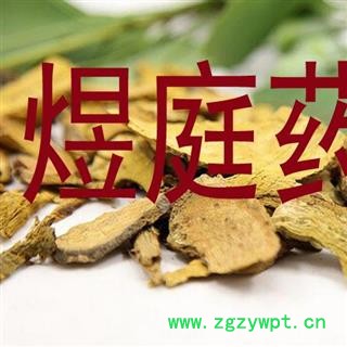 煜庭药业 土大黄 羊蹄根 正品图4