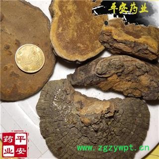 平安药业 桑黄 正品野 桑臣 树鸡 胡孙眼 桑黄菰 桑黄菇 针层孔菌 梅树菌图2