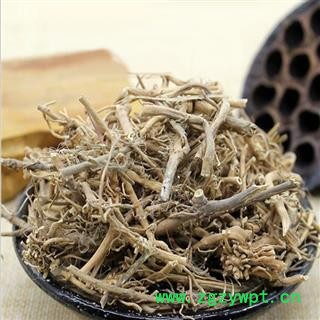 煜庭药业 白前图4