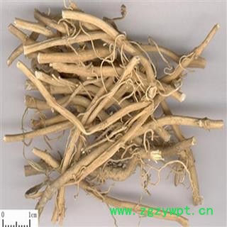 煜庭药业 白前图3