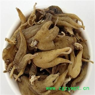 煜庭药业 手掌参 佛手参 掌参、手儿参、阴阳参 藏三七图4