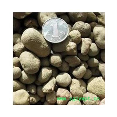 小丽百草行雷丸 雷实 竹林子 木连子