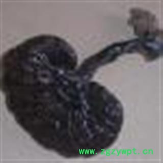 小丽百草行中药材紫灵芝  紫芝图4