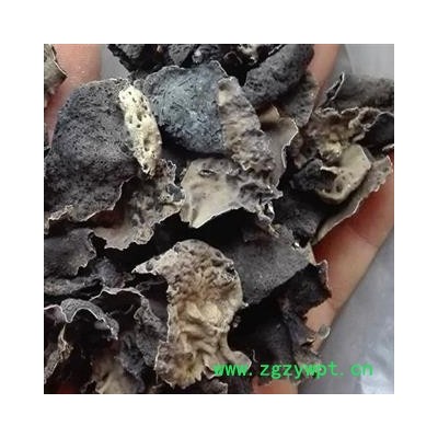 小丽百草行石耳  石木耳 岩菇 石壁花 地耳