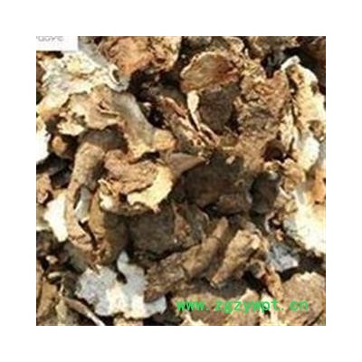 精品过筛新货茯苓皮好统货 无杂质