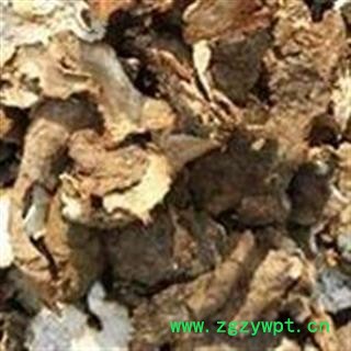 精品过筛新货茯苓皮好统货 无杂质图2