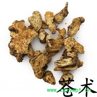 煜庭药业 苍术 朱砂点苍术图3