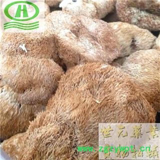 世元药业 猴头菇 东北野非种植 猴头菌 猴头蘑 刺猬菌 猬菌 猴菇图2