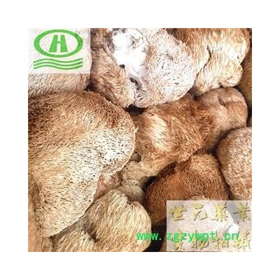 世元药业 猴头菇 东北野非种植 猴头菌 猴头蘑 刺猬菌 猬菌 猴菇