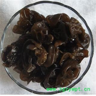 世元药业 黑木耳 一级 原色 新货图2
