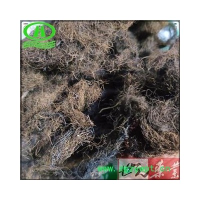 世元药业 头发七 正品100g/袋 黑丝草 人头七 黑丝带 亚洲树发 双色树发 沟树发